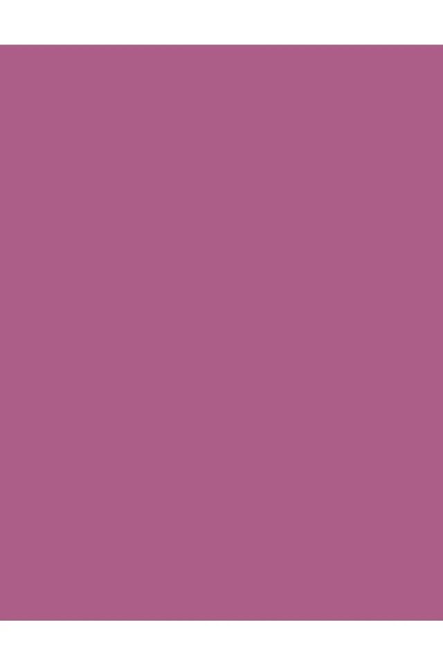 Pretty By Flormar Stay True Lipgloss Dudak Parlatıcısı 23 Berry