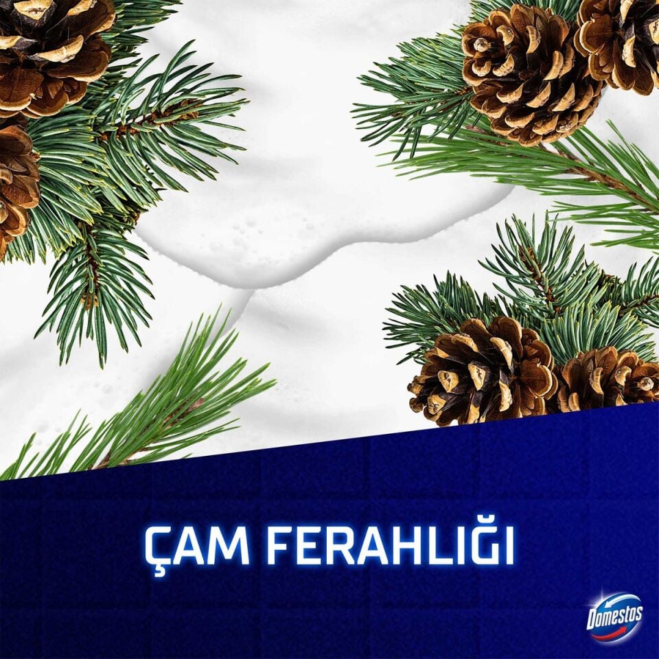 Domestos Köpük Gücü Köpük Çamaşır Suyu Çam Ferahlığı 450 Ml
