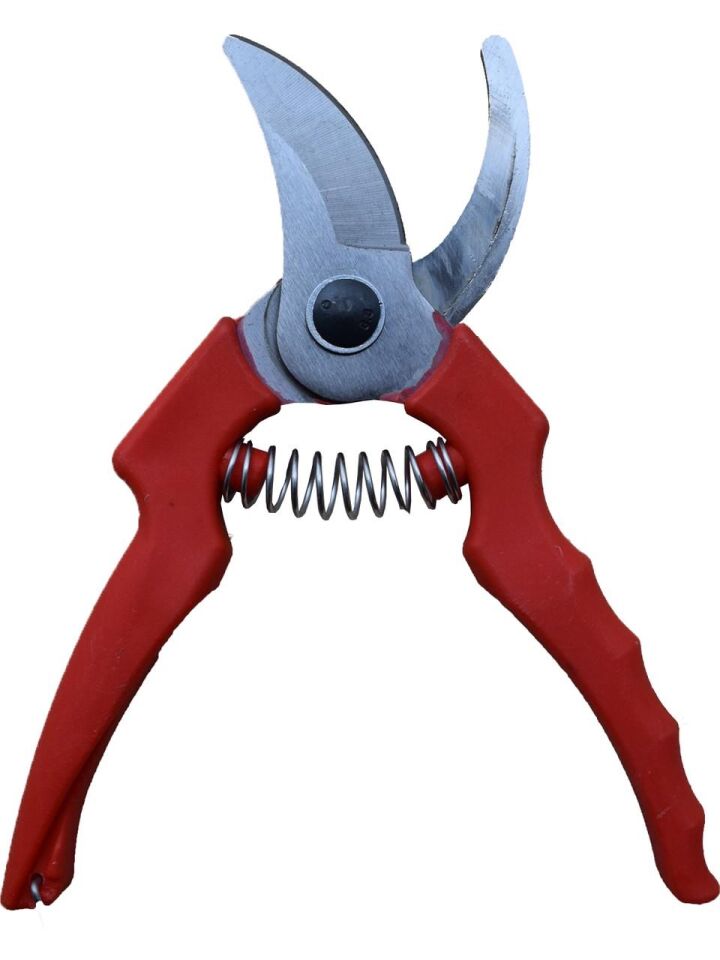 Aslankara Budama Bağ Üzüm Dal Makası Eğri Kırmızı 21 Cm