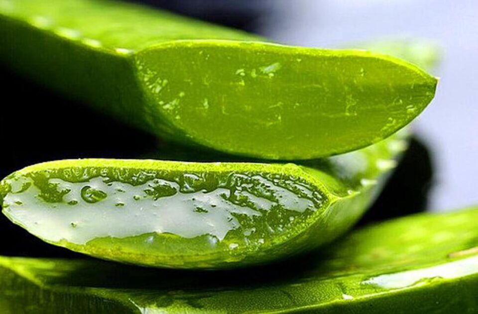 Bitkident Aloe Vera Nemlendirici Jel 300 Ml