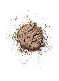 Flormar Göz Farı Mono Eyeshadow Golden Beige No: 14