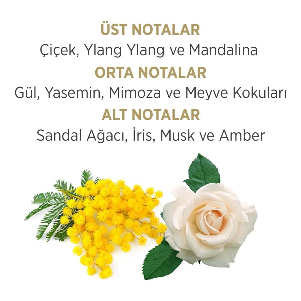 Privacy Gold Sensation Edt 100 ml Bayan Parfümü