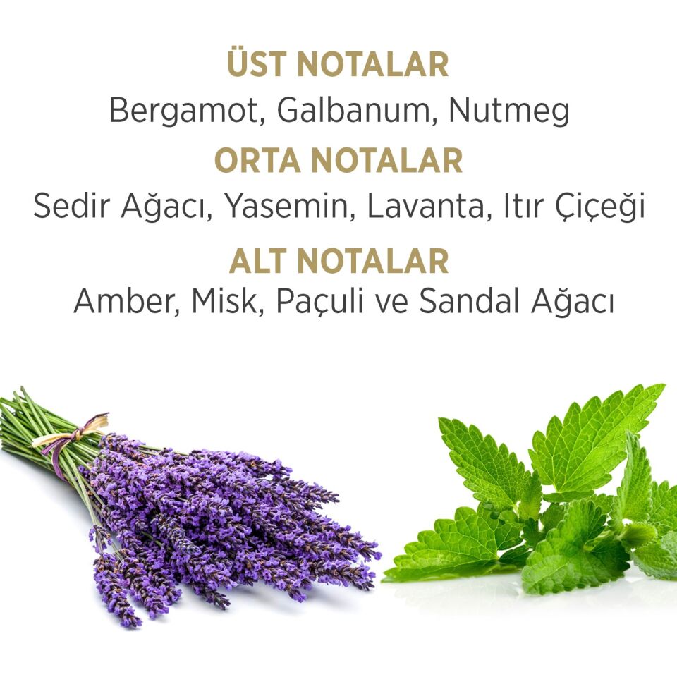 Privacy Gold Sensation Edt 100 ml Erkek Parfümü