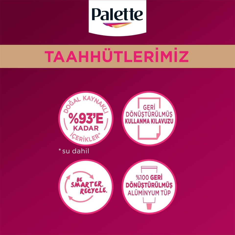 Palette Deluxe Saç Boyası 10.0 Açık Sarı