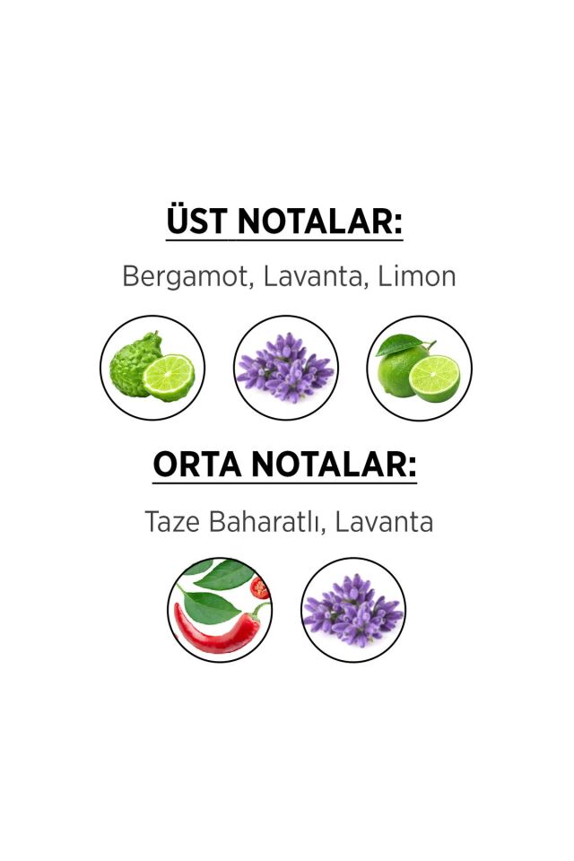 Privacy Man Limited Edition EDT 50 ml Erkek Parfüm