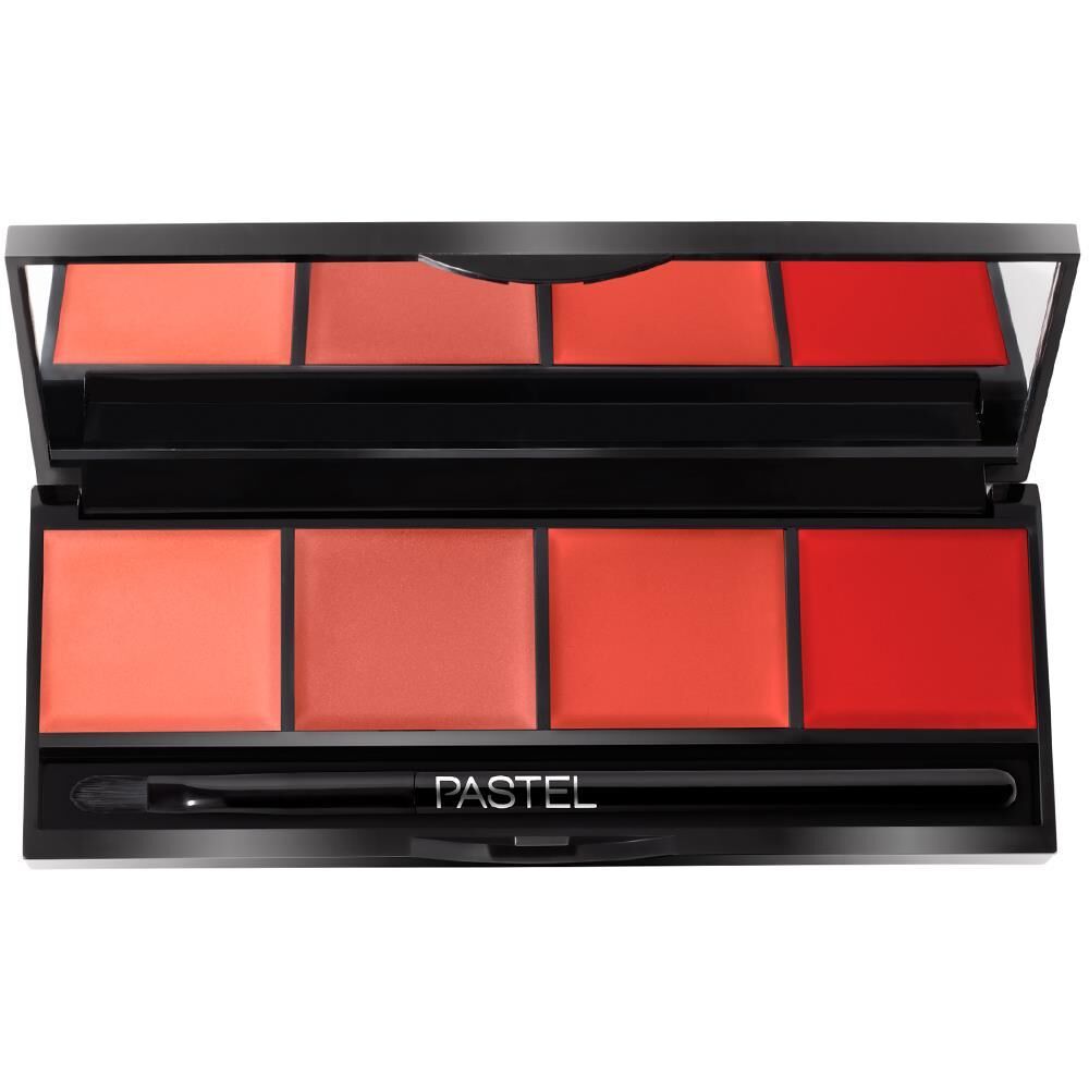 Pastel Profashion Rouge Palette 03 Ruj Paleti 4 lü
