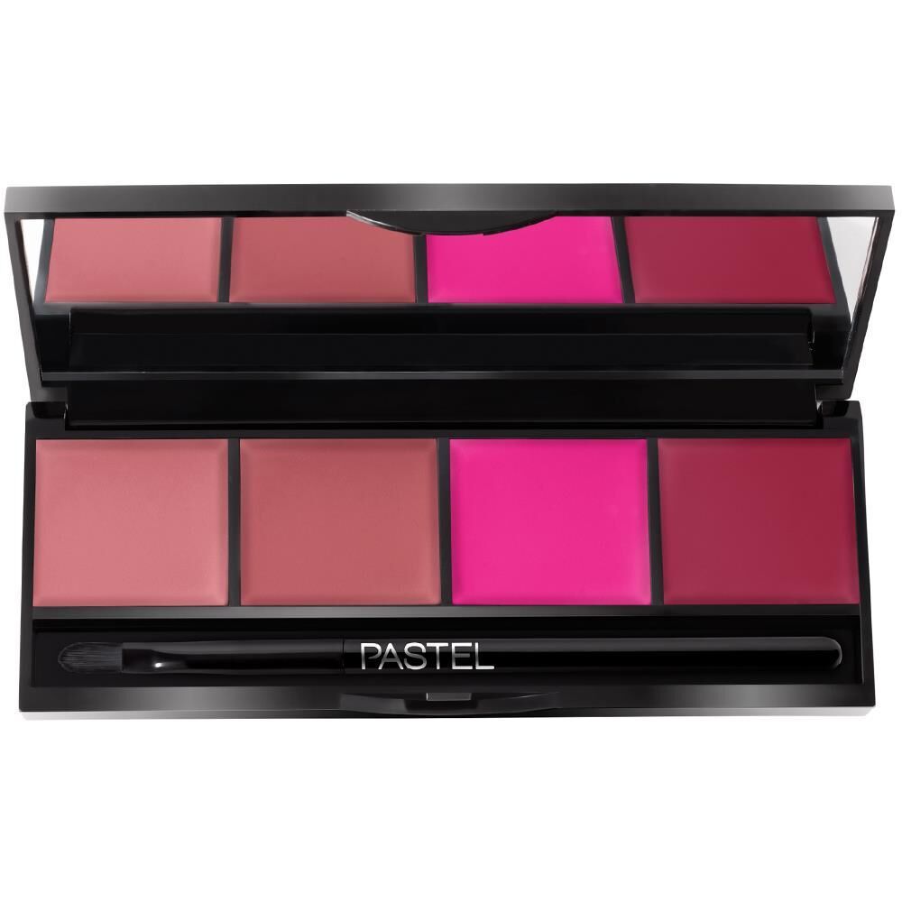 Pastel Profashion Rouge Palette 04 Ruj Paleti 4 lü