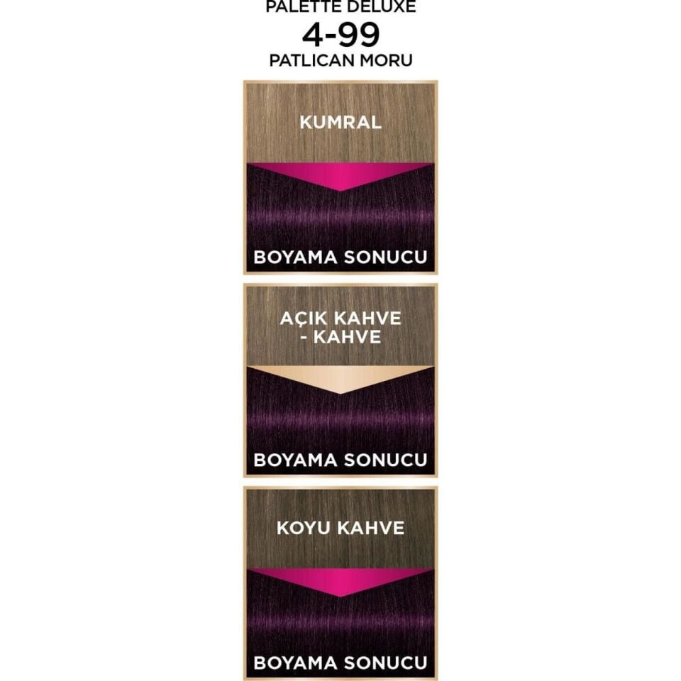 Palette Deluxe Saç Boyası 4.99 Patlıcan Moru