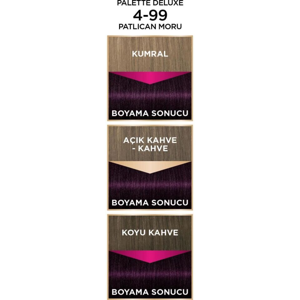 Palette Deluxe Saç Boyası 4.99 Patlıcan Moru