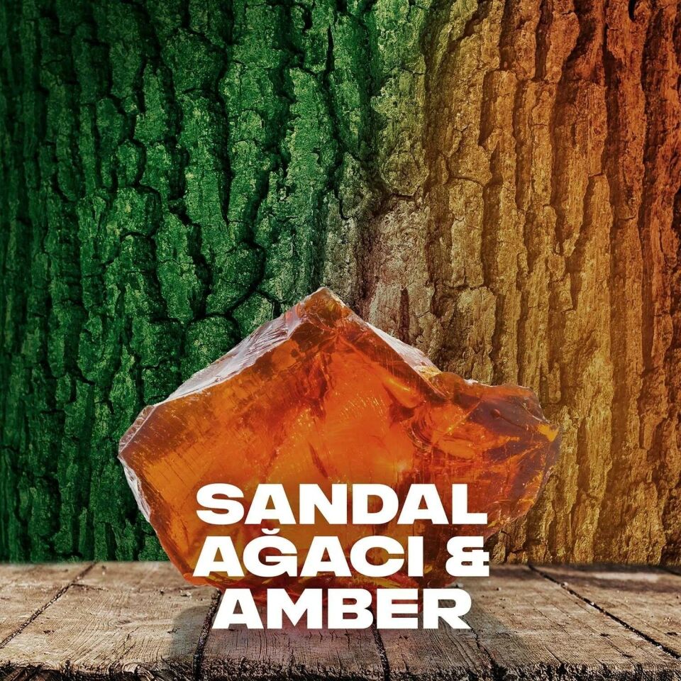 Axe Deodorant 150 Ml Jungle Fresh