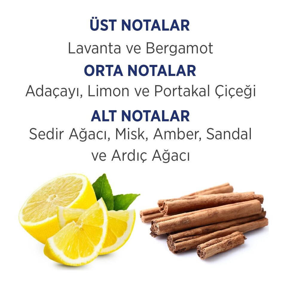 First Class 100 Ml Edt Erkek Parfümü