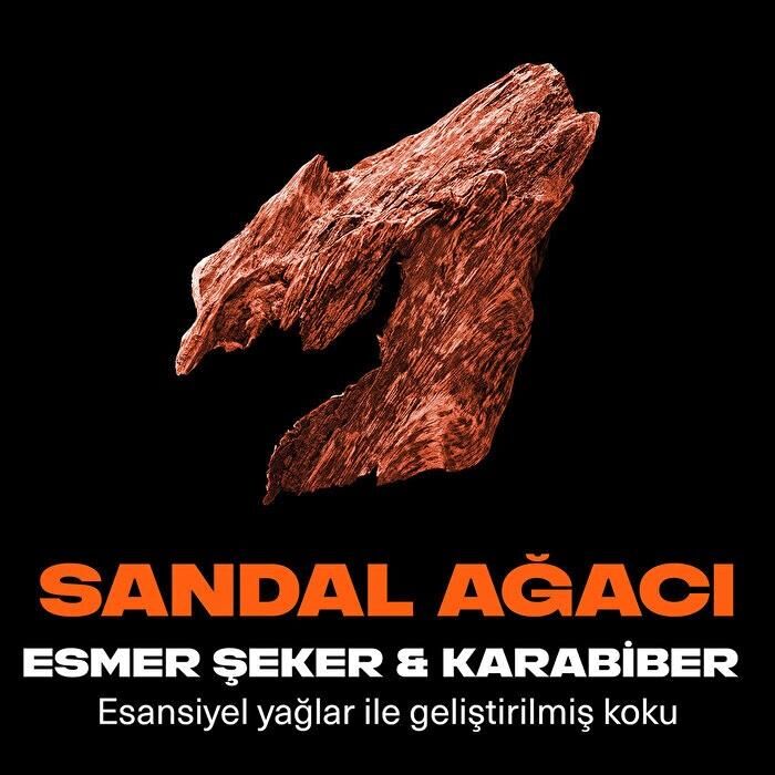 Axe Duş Jeli Copper Santal Premium Collectio 3 in 1 Sandal 300 Ml Yüz, Vücut , Saç