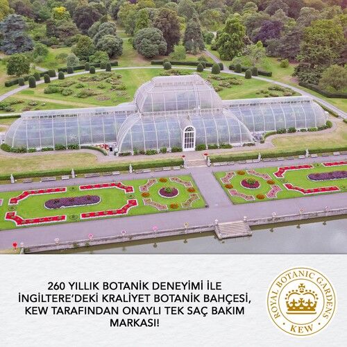 Herbal Essences Şampuan Onarıcı Fas Argan Yağı 400 ml